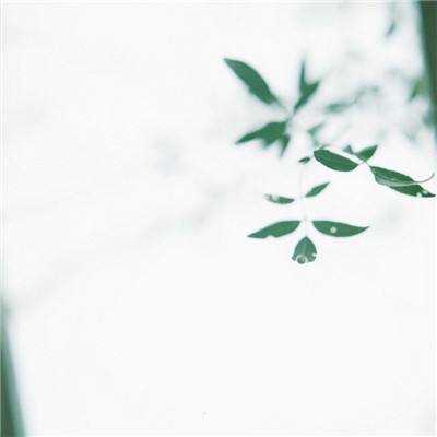 地铁模拟器3d破解版解锁车辆版下载